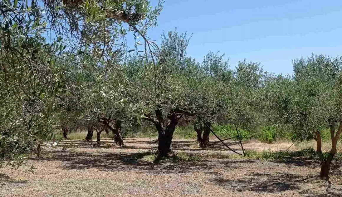ΟΡΑΤΟΣ ΚΙΝΔΥΝΟΣ ΧΑΟΥΣ ΚΑΙ ΠΡΟΣΤΙΜΩΝ … !!! post thumbnail image