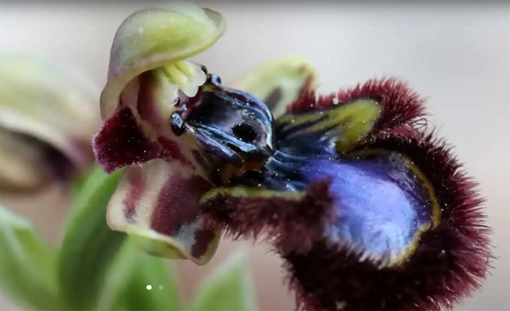 ΕΜΕΙΣ ΤΕΛΙΚΑ , ΔΕΝ ΘΕΛΟΥΜΕ … post thumbnail image